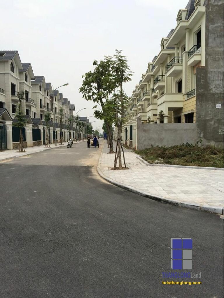 Giao thông biệt thự Dương Nội